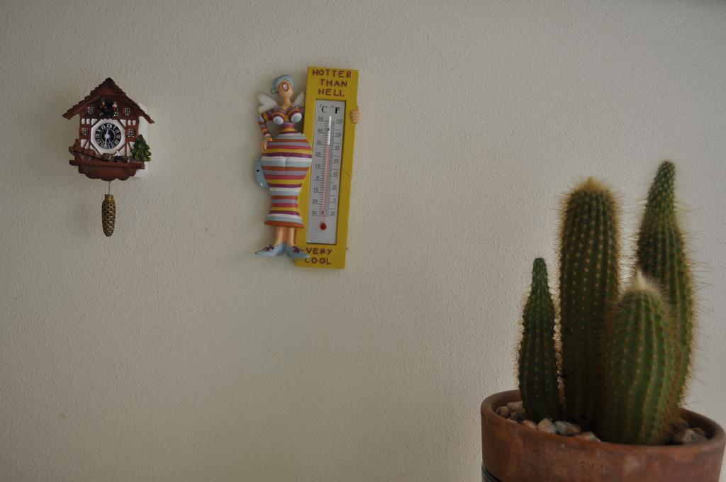 בולוניה San Domenico Apartment מראה חיצוני תמונה