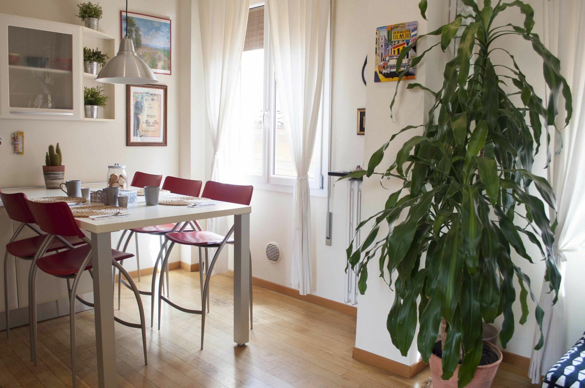 בולוניה San Domenico Apartment מראה חיצוני תמונה